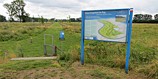 Beheersplan Waterwingebied, Roosteren