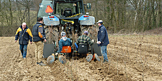Beplanting Centraal Plateau