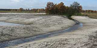Natuurontwikkeling, Het Veen