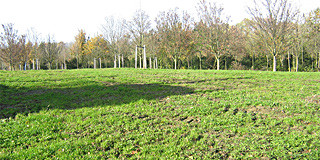 Omvorming beplanting Rioolwaterzuiveringsinstallatie