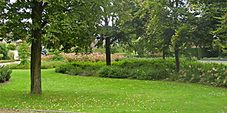 Onderhoud groen, gemeente Roerdalen