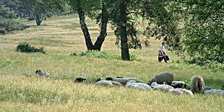 Recreatieve routes, Brunssummerheide