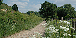 Wandelroute Rondje Bemelen